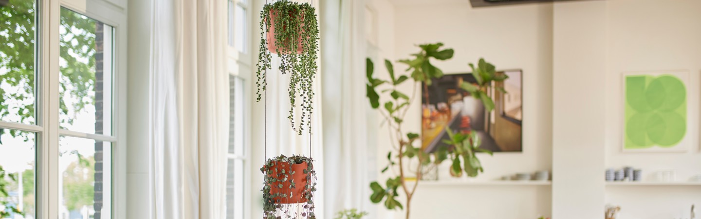 Hanging Flowerpots
