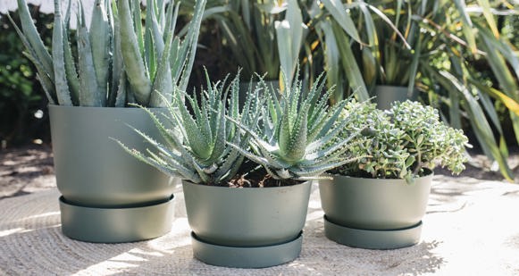 Vaso per piante quadrato Elho Greensense 30,2x29,5 cm grigio cemento