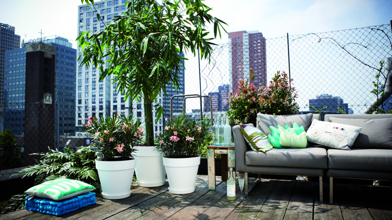 Zaailing schattig sociaal Bomen in potten voor een kleine tuin - elho® - Give room to nature