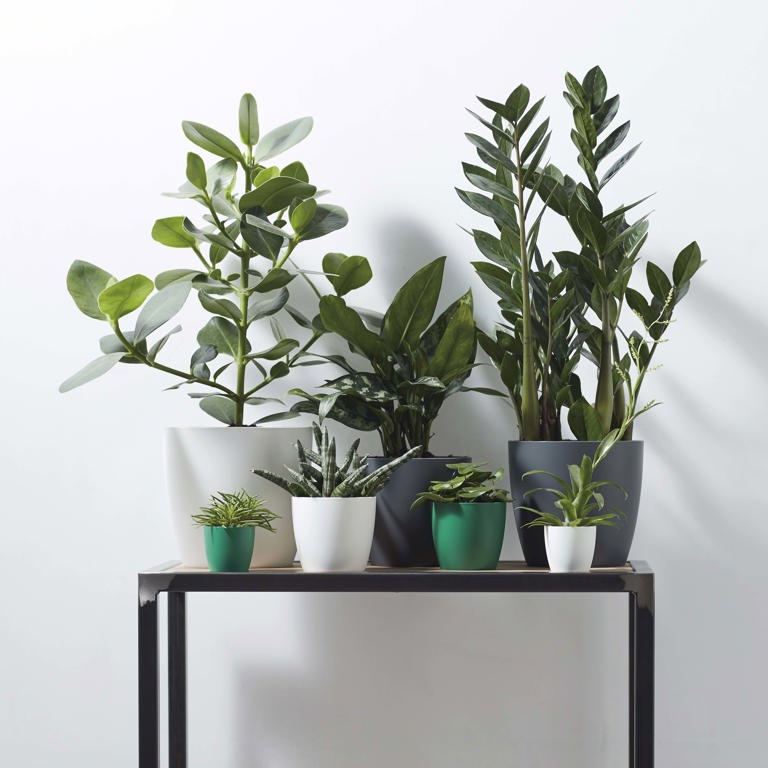 elho brussels collection - nature online or to store! Buy Give elho® - in room 
