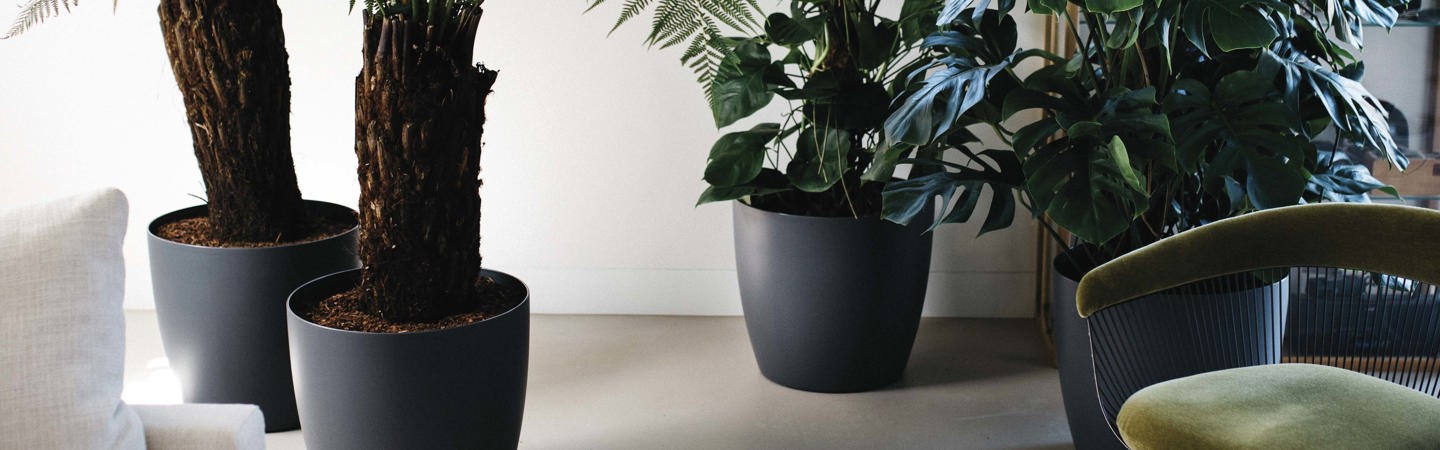 Pots de fleurs Noir - elho® - Give room to nature