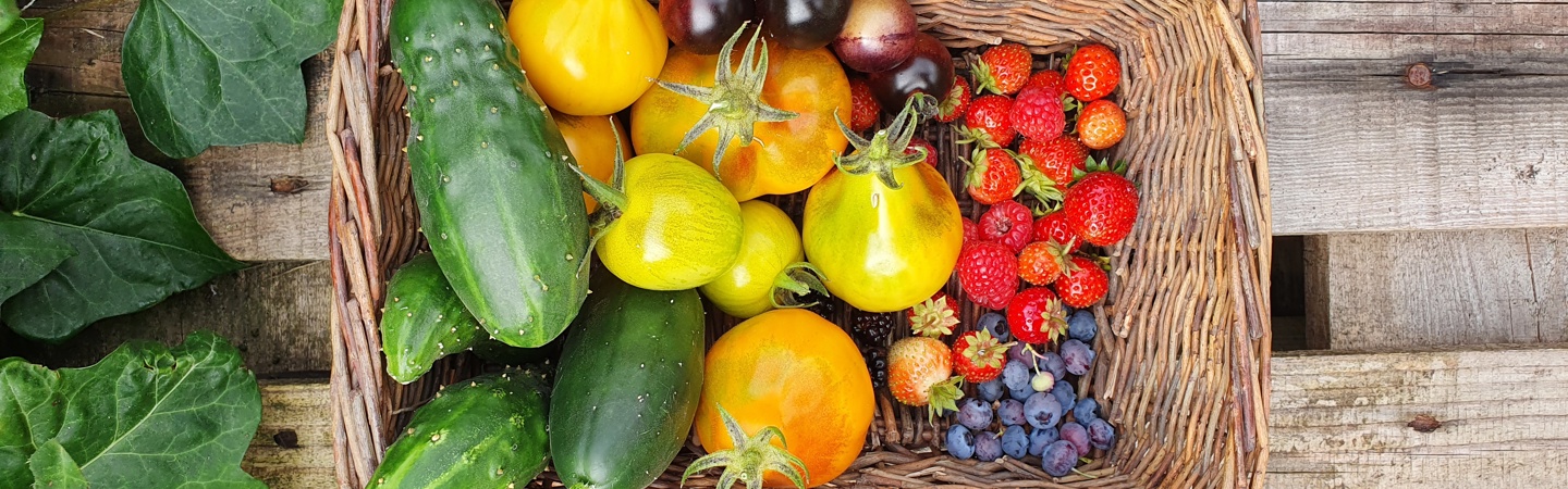 Floor Korte: La fin de l'ete et l'automne dans le potager