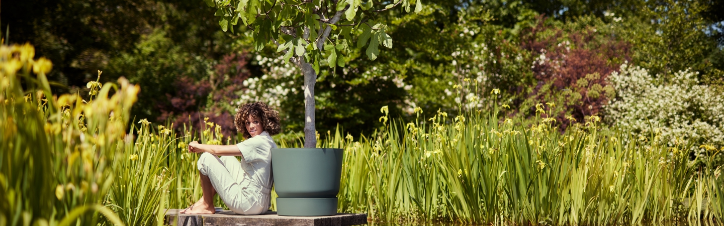 Pots de fleurs Verts