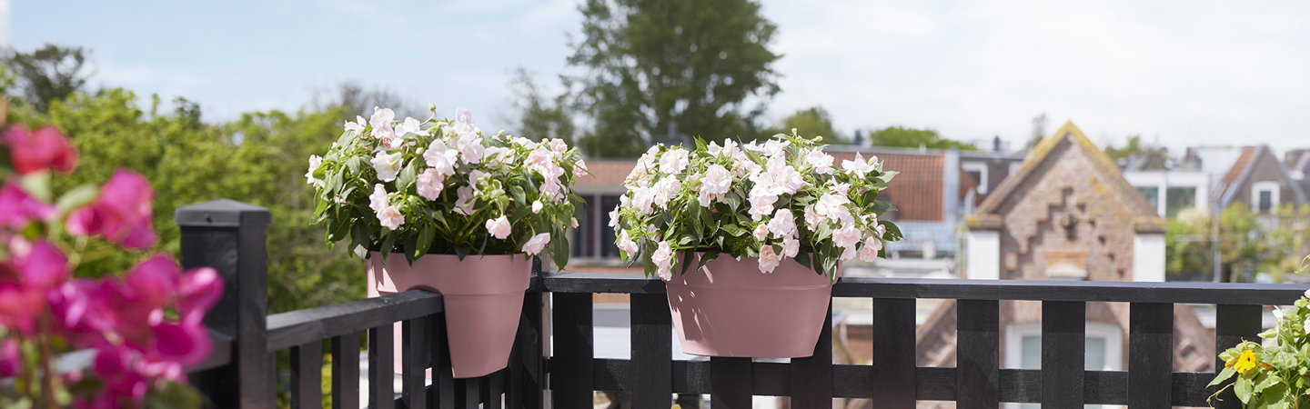 Bacs rectangulaires pour plantes