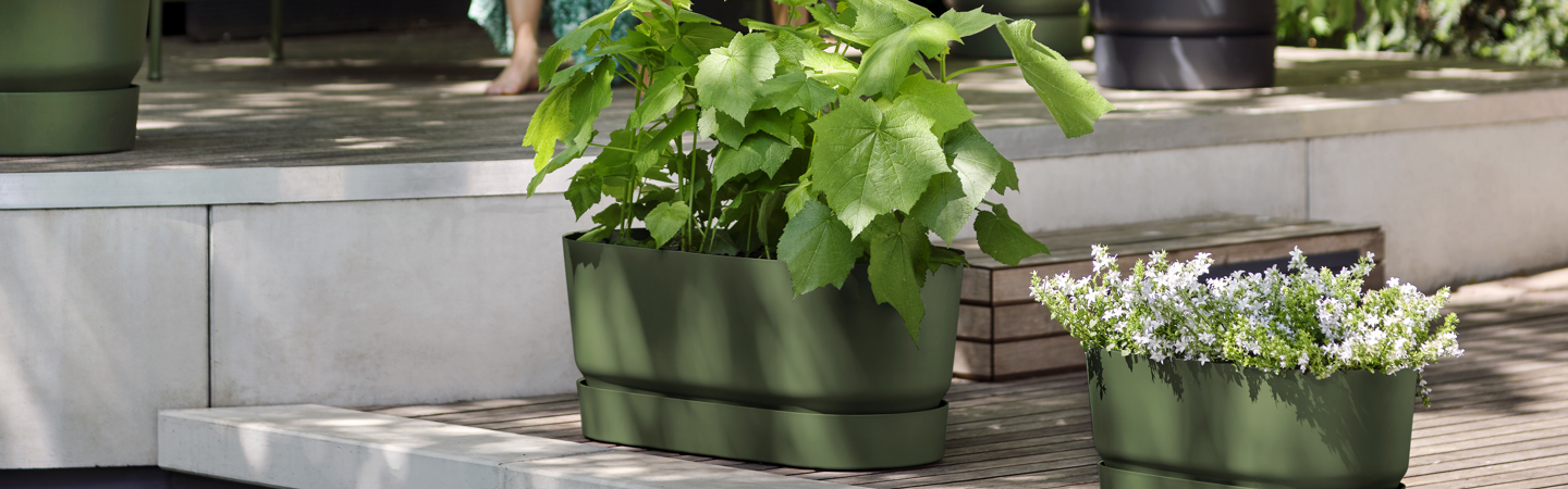 Planters  With Wheels